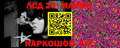 гидропоника Кумертау
