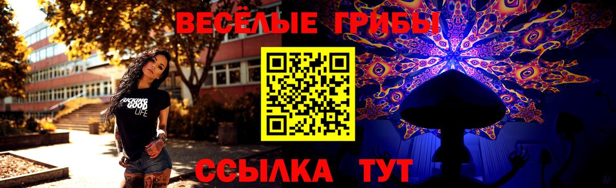 Псилоцибиновые грибы GOLDEN TEACHER  Вход с VPN  Керчь 